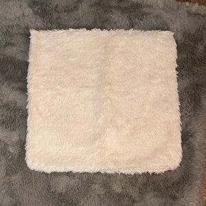 Pottery Barn white Accent Pillow set of two